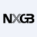 NxGen Brands Inc. logo