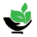 Octavius Plantations Ltd. logo