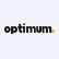 Optimum Interactive (USA) Inc. logo