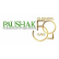 PAUSHAKLTD logo