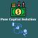 Pure Capital Solutions Inc. logo
