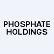 Phosphate Holdings, Inc. logo