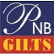 PNB Gilts Ltd. logo