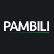 Pambili Natural Resources Corporation logo