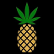 Pineapple Express Inc. logo