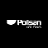 Polisan Holding A.S. logo