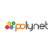 Polynet Public Company Limited logo