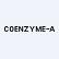 Coenzyme A Inc. logo