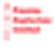 Premier Explosives Ltd. logo