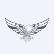 Valiant Eagle Inc. logo