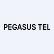 Pegasus Tel Inc. logo