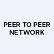 Peer To Peer Network logo
