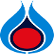 PTT Public Company Limited logo
