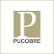 Sociedad Punta del Cobre S.A. logo