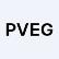 Pacific Vegas Global Strategies Inc. logo