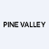 Pine Valley Mining Corp. logo