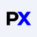Praxsyn Corporation logo