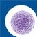 Regen Biopharma, Inc. logo