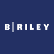 B. Riley Financial Inc. 6% Preferred Stock Due 2028 logo