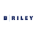 B. Riley Financial Inc. Preferred Stock 5.25% 08/31/28 logo
