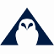 Pacifica Silver Corp. logo