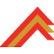 Red Mountain Mining Limited logo
