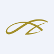 St. Augustine Gold and Copper Ltd. logo