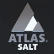 Microsalt Plc logo