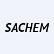 Sachem Capital Corp. 6.00% Notes due 2026 logo
