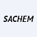 Sachem Capital Corp. 8% Preferred Stock logo