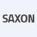 Saxon Capital Group Inc. logo