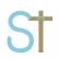 Seelos Therapeutics Inc logo
