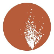 Sandfire Resources Limited logo