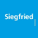 Siegfried Holding AG logo