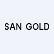 San Gold Corporation logo