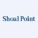 Shoal Point Energy Ltd. logo