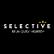Selective Insurance Group, Inc. 4.60% Depositary Shares Non-Cumulative Preferred Stock Series B logo