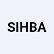 Shenzhen Investment Holdings Co. Ltd. ADR logo