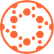 Solid Biosciences Inc. logo