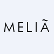 Melia Hotels International S.A. logo