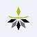 Strategic Oil & Gas Ltd. logo