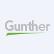 Gunther International Ltd. logo