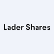 LeaderShares Equity Skew ETF logo