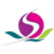 Saraswati Saree Depot Ltd. logo