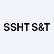 Ssht S&T Group Ltd. logo