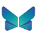 STL Networks Limited logo