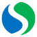 Spring Valley Acquisition Corp. Warrant logo