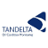 Tan Delta Systems Plc logo