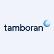 TBN Corp Public Company Limited logo