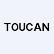 Toucan Interactive Corp. logo